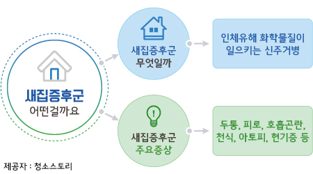 새집증후군청소